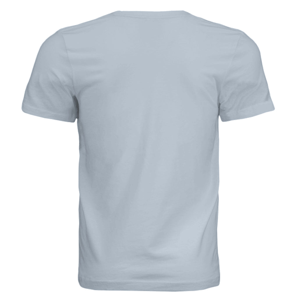 Solid Carolina Blue Triblend - BACK