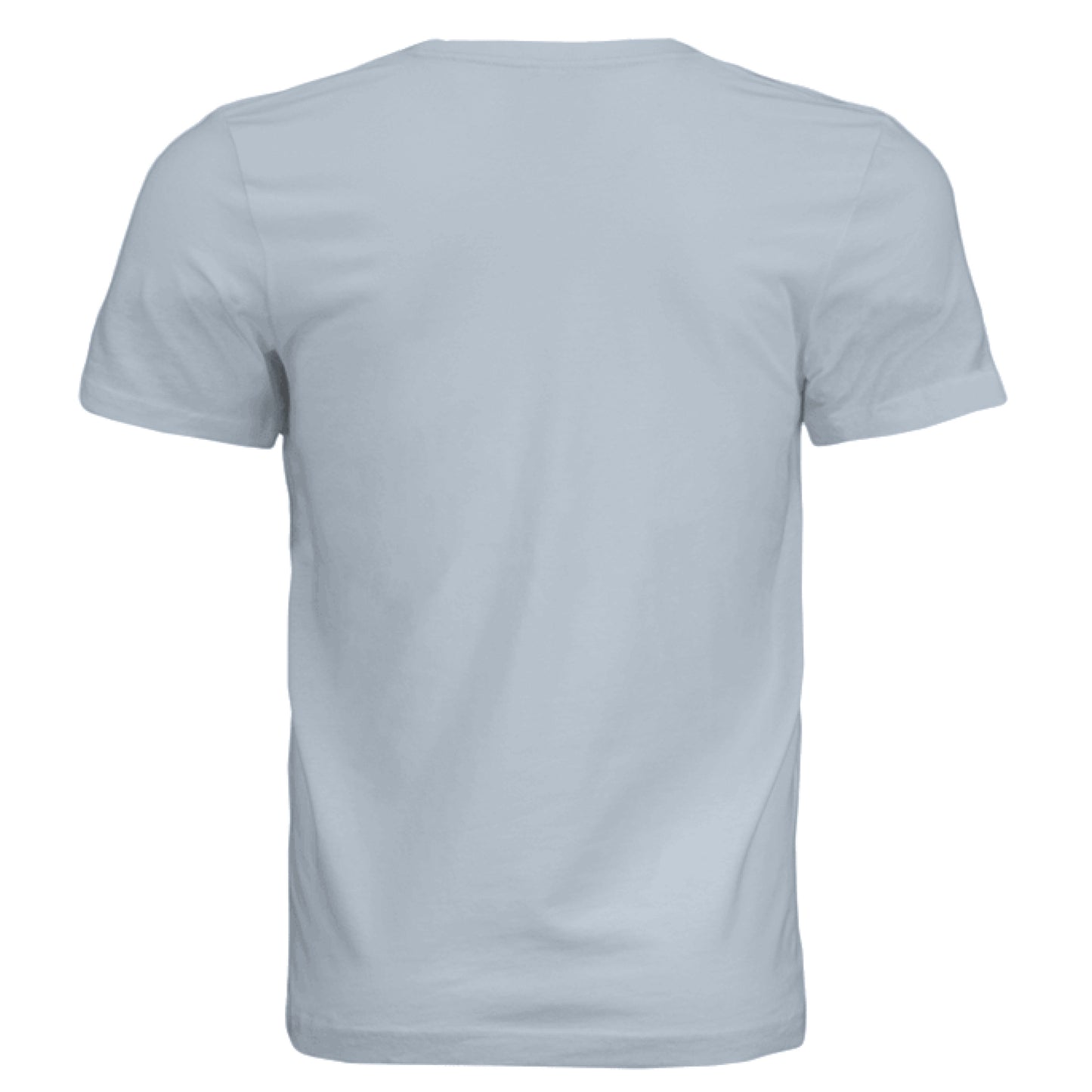 Solid Carolina Blue Triblend - BACK